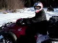 grizzly on ice