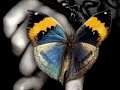 Moontears - Tolo Marton & Lost Iguana (Nils Lofgren Cover)