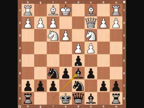 chess chess