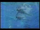 Synchro Canada C. Carver-Dias F. Letourneau Duet Tec 1999