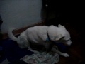 PICT0526