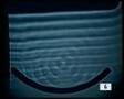 Water Waves