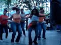 Whine Up Fan Video