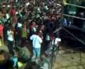 nonpalidece  rock and pop
