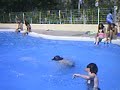 Atsui GumiWajajajajajajaPikero kon aterrizaje de bolas...especialidad de Kamelo...wajajajajaa
