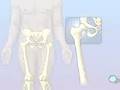PreOp® Surgery Patient Education 617-379-1582