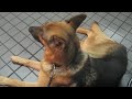K�ln Stadt - City Tour 2007