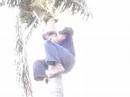 free climb