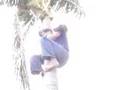 free climb