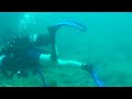 Hardy Hall of Fame Moorings Dive (6/19/2010) (HD / 720p / 16:9) - Gold Coast Scuba Divers