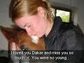 My horse and friend Disa My horse and friend Disa