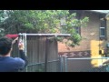 Blowing Up Wasps