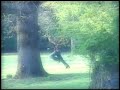 Kirito chasing Takeo and falling