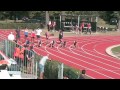 50 palio di Reggio