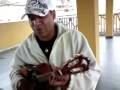videos de Canto das 3 racas