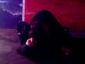 videos de Cat Fight - Bianka Vs Yayis