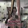 Show de Harpa com Marco Antonio - Ofir Rastoldo