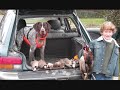 A Day Out Bird Hunting