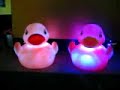 Singing Ducks