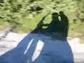 shadows\ shadows\