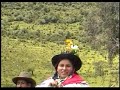 Alcanforcita de Huayana y los Picaros de la Jarana [ esta noche ]