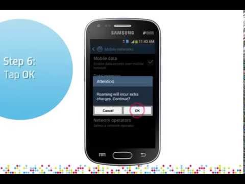 how to turn roaming off on galaxy s