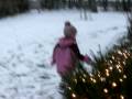 Boo Boo in Snow