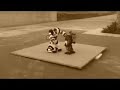 Robonova VS Robosapiens