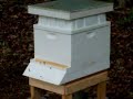 Bee activity Bee activity