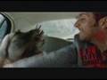 videos de Película - Solo quiero caminar