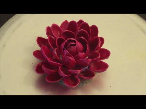 Recycle : Pistachio (pista) Shells flower (diy)