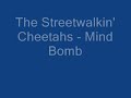 a fantastic, powerful song by the streetwalkin' cheetahs, from the album the red tape diaries. sorry, no video.