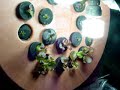 The Omega Garden Foodle