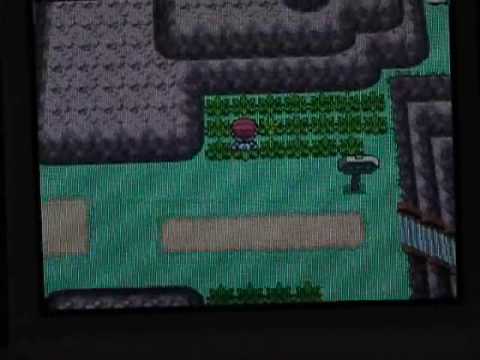 bagon pokemon
