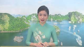 Truyền hình Hạ Long ngày 31-3-2022