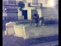 Super_Mario in fontana