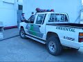 pea   rinha de galos em embu/sp