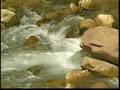 NWA EP#10 Zion National Park Pt.04