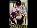 videos de Shortfuse 