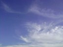 MOV01282.AVI