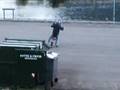 Funny long wheelie 
