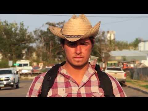 oil - This is a story about one of the biggest oil booms in American history and a small town forced to evolve into something it has never been before. In the five...