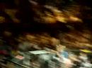 stephan bonnar post fight ufc 77