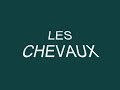 chevaux/poneys des �curies de la californie
