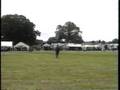 FALCONS + FALCONRY TERRY LARGE