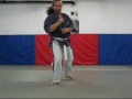 yoseikan budo