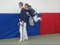 yoseikan budo yoseikan budo
