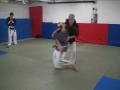 yoseikan budo