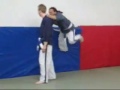 yoseikan budo