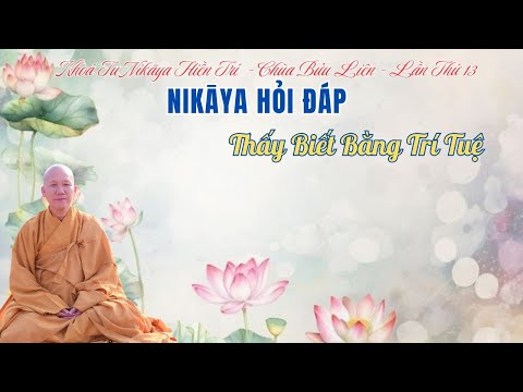 NIKAYA Hỏi Đáp - Thấy Biết Bằng Trí Tuệ